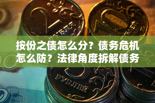 武汉按份之债怎么分？债务危机怎么防？法律角度拆解债务分配与风险自保指南