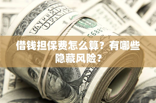 武汉借钱担保费怎么算？有哪些隐藏风险？