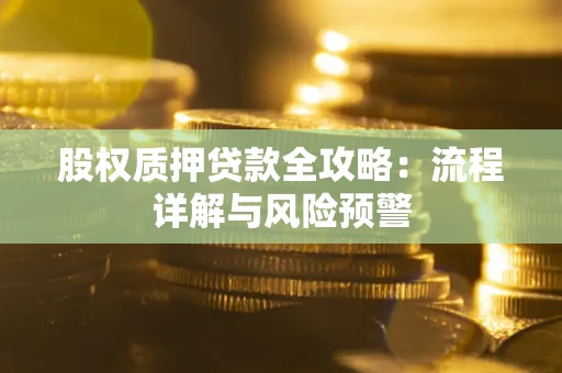 武汉股权质押贷款全攻略：流程详解与风险预警