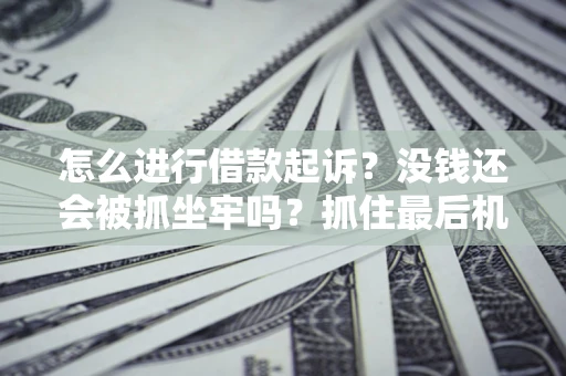 武汉怎么进行借款起诉？没钱还会被抓坐牢吗？抓住最后机会！