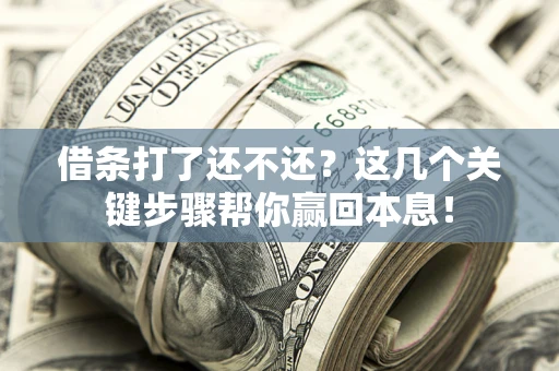 武汉借条打了还不还？这几个关键步骤帮你赢回本息！