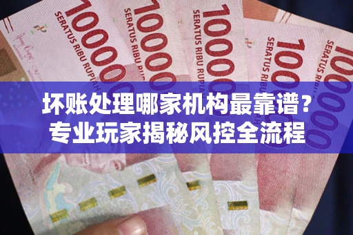 武汉坏账处理哪家机构最靠谱？专业玩家揭秘风控全流程