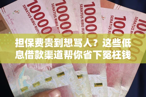 武汉担保费贵到想骂人？这些低息借款渠道帮你省下冤枉钱