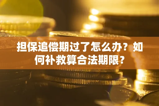 武汉担保追偿期过了怎么办？如何补救算合法期限？