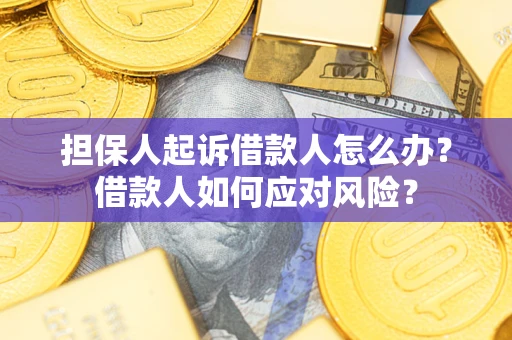 武汉担保人起诉借款人怎么办？借款人如何应对风险？