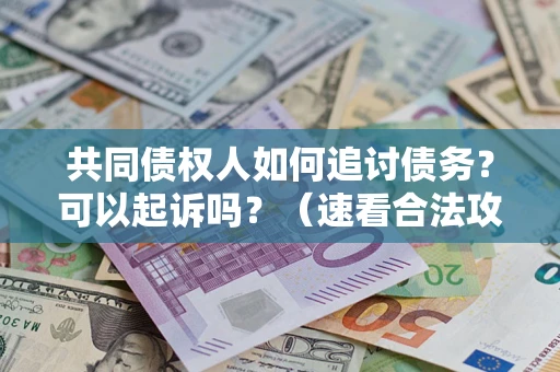 武汉共同债权人如何追讨债务？可以起诉吗？（速看合法攻略）