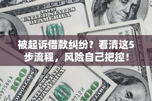 武汉被起诉借款纠纷？看清这5步流程，风险自己把控！