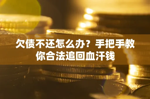 武汉欠债不还怎么办?手把手教你合法追回血汗钱 武汉欠债不还怎么办?手把手教你合法追回血汗钱