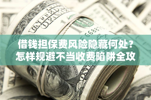 武汉借钱担保费风险隐藏何处？怎样规避不当收费陷阱全攻略！
