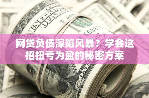武汉网贷负债深陷风暴？学会这招扭亏为盈的秘密方案